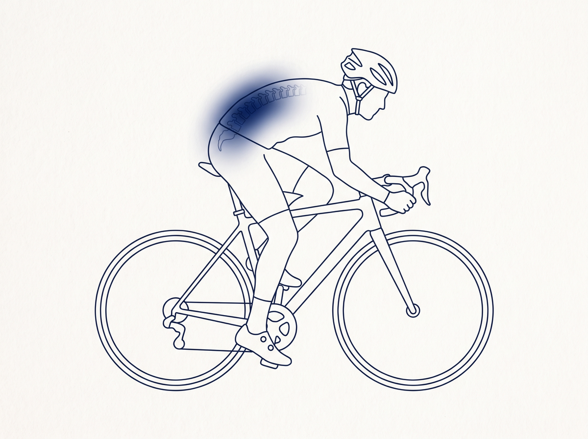 Ilustración de la zona lumbar durante el pedaleo